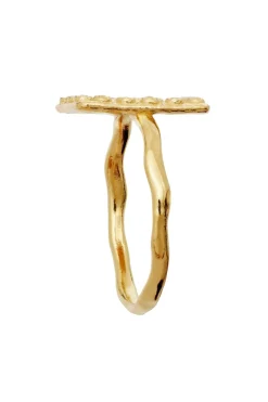 Maanesten Ringe<Aida Ring