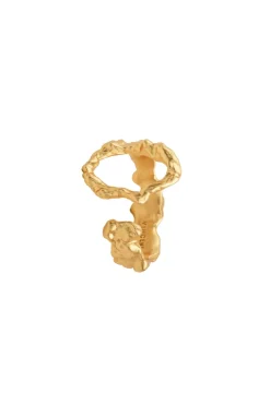 House Of Vincent Ringe<Apocalypse Ring