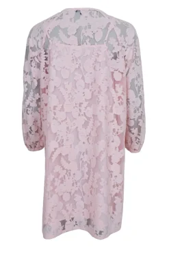 Online Bcdream Lace Dress 40857 Kjoler