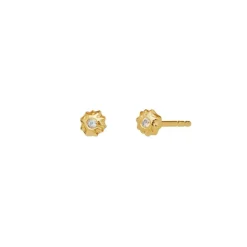 Maanesten Øreringe<Caia Earrings