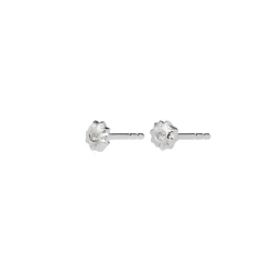 Outlet Caia Earrings Øreringe