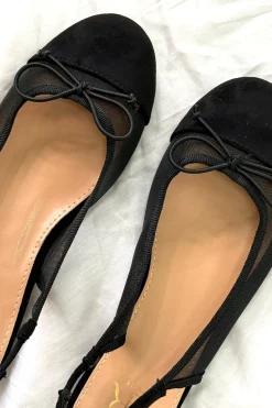 Best Eleanor Ballerinaer Bloom|Ballerinaer