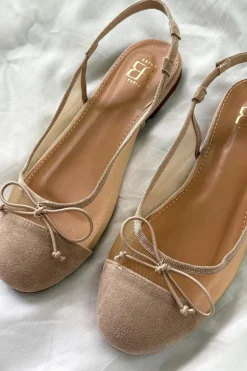 Bloom Bloom|Ballerinaer<Eleanor Ballerinaer