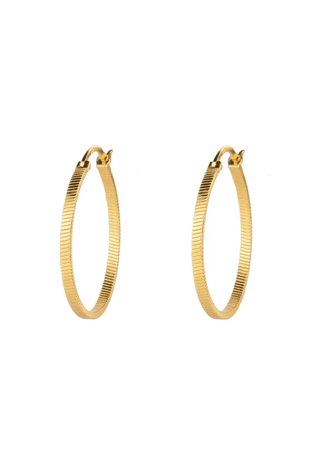 Outlet Fortune Teller Creol Earrings L VJ078-UEG-L Øreringe