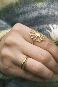 Online Globe Ring Ringe