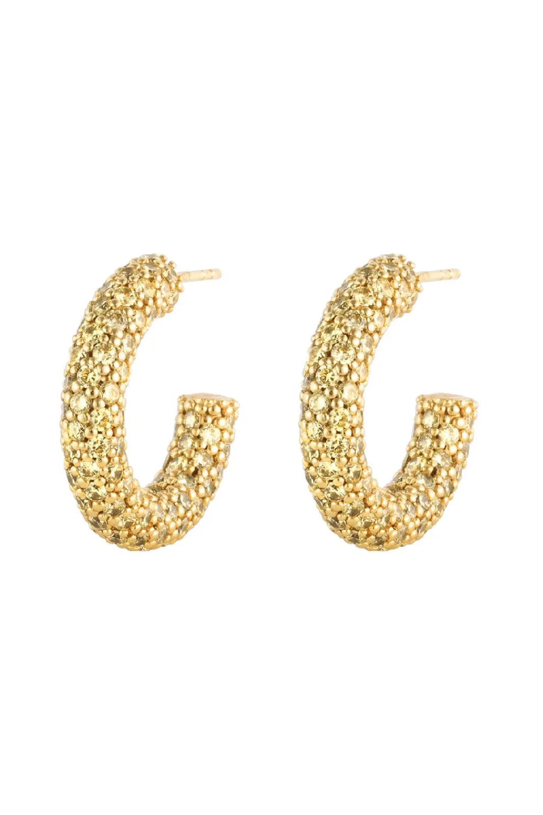 New Halo Heritage Hoop Earrings Øreringe