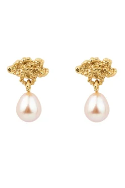 House Of Vincent Øreringe<Hollow Cloud Earrings