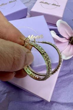Discount Hoop Stone Ø3 cm Øreringe