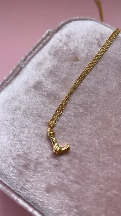 Mellow Moon Halskæder<Kim Letter Necklace