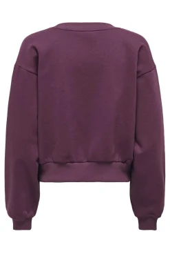 Onlbonet L/S O-Neck Swt Sweatsæt & Comfy Wear|Bluser & Skjorter