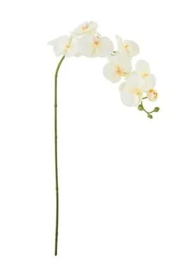 Bloomingville Dekoration Til Hjemmet<Orchid Stilk, Hvid, Kunstige Blomster 82072093