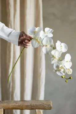 Bloomingville Dekoration Til Hjemmet<Orchid Stilk, Hvid, Kunstige Blomster 82072093