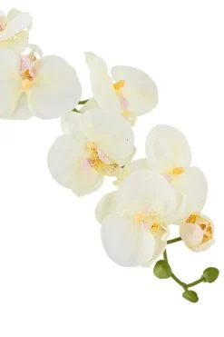 Bloomingville Dekoration Til Hjemmet<Orchid Stilk, Hvid, Kunstige Blomster 82072093