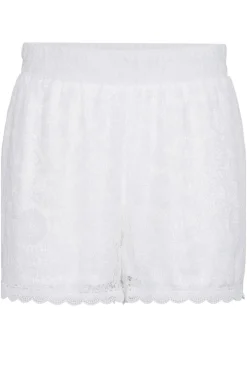 Hot Pcolline Shorts Shorts
