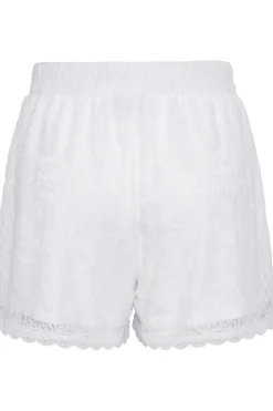 Hot Pcolline Shorts Shorts