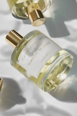 New QUANTUM MOLéCULE EDP 100 ml. Parfumer