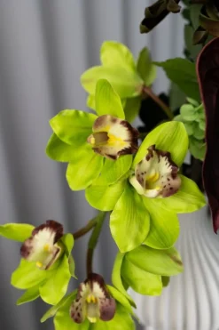 Bloom Objects Dekoration Til Hjemmet<Sculpted Flora Bouquet 02-477