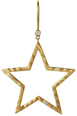 New Shining Star Earring Øreringe