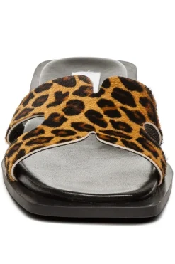 Discount Sofia-L SM11003524 Steve Madden|Sandaler