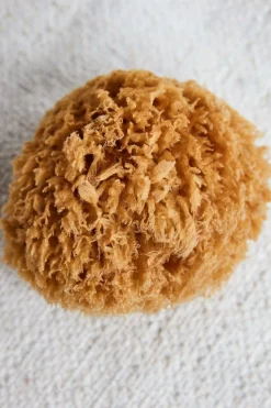 Discount Sponge Bahamas Børn Bad, Leg & Interiør