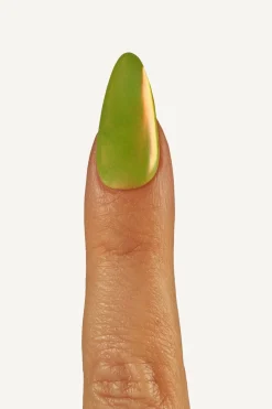 Clearance Stardust Liquid Nail Powder LNP005 Neglelak