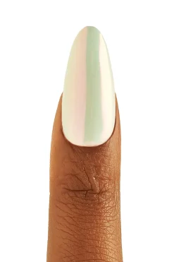 Clearance Stardust Liquid Nail Powder LNP005 Neglelak
